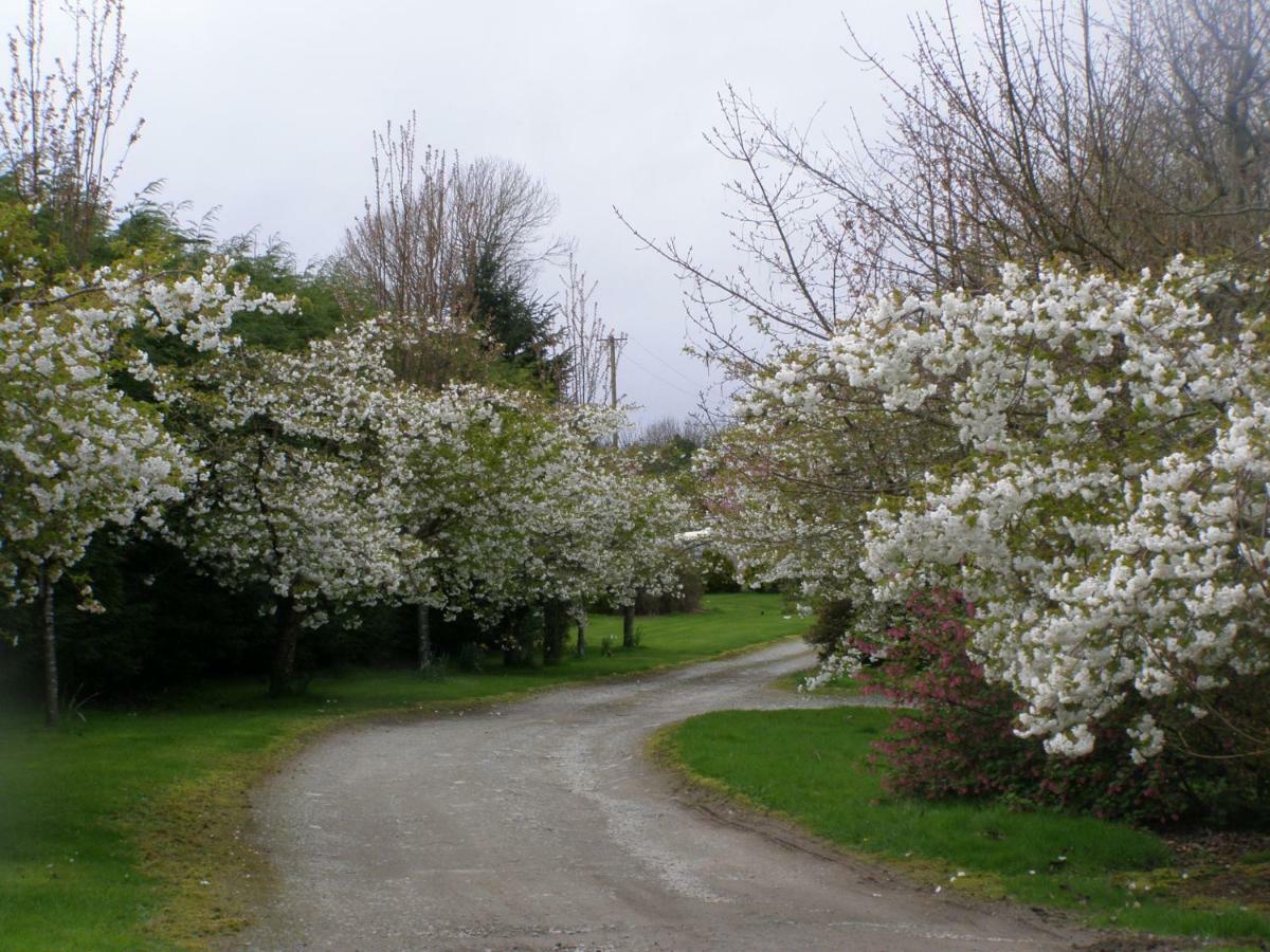 Killurin Lodge Ballyvolane Kültér fotó