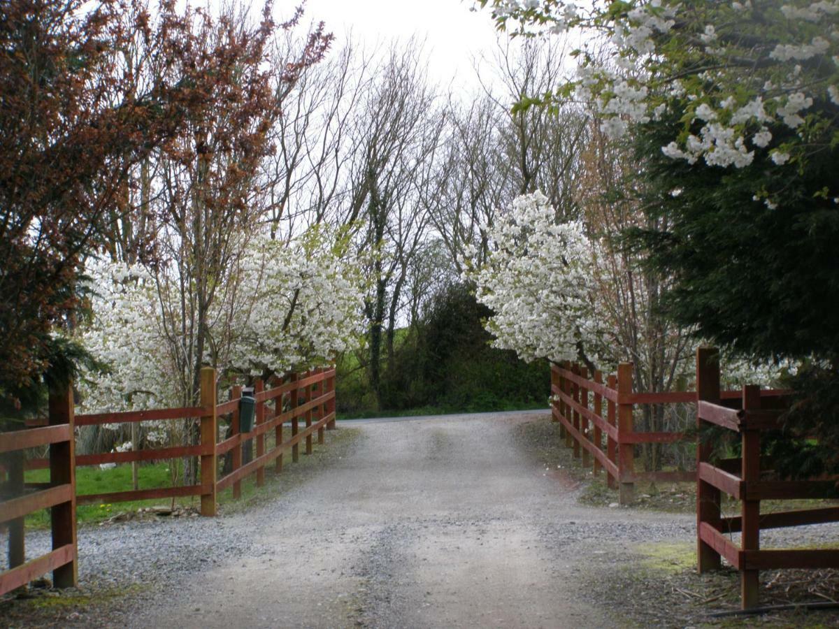 Killurin Lodge Ballyvolane Kültér fotó